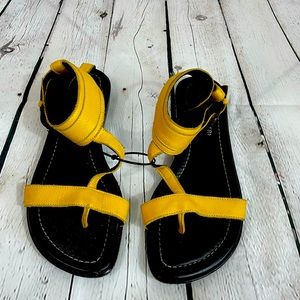 Donald J PLINER Scandal